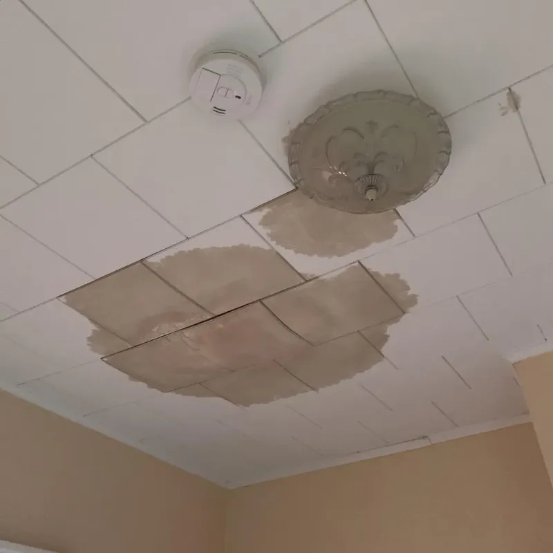 Ceiling Water Damage Repair in Martin, SD