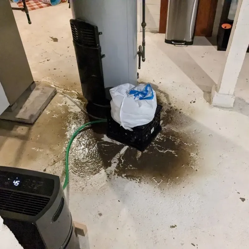 Sewage Backup Cleanup Service in Martin, SD